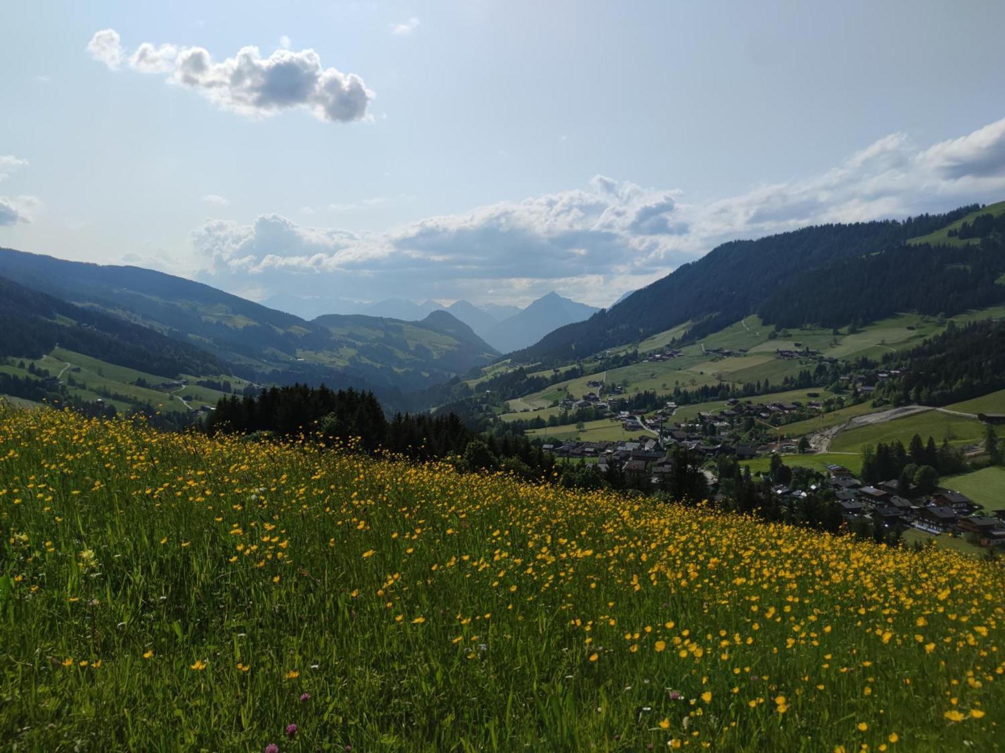 Chalet Mountain View Alpbach Dış mekan fotoğraf