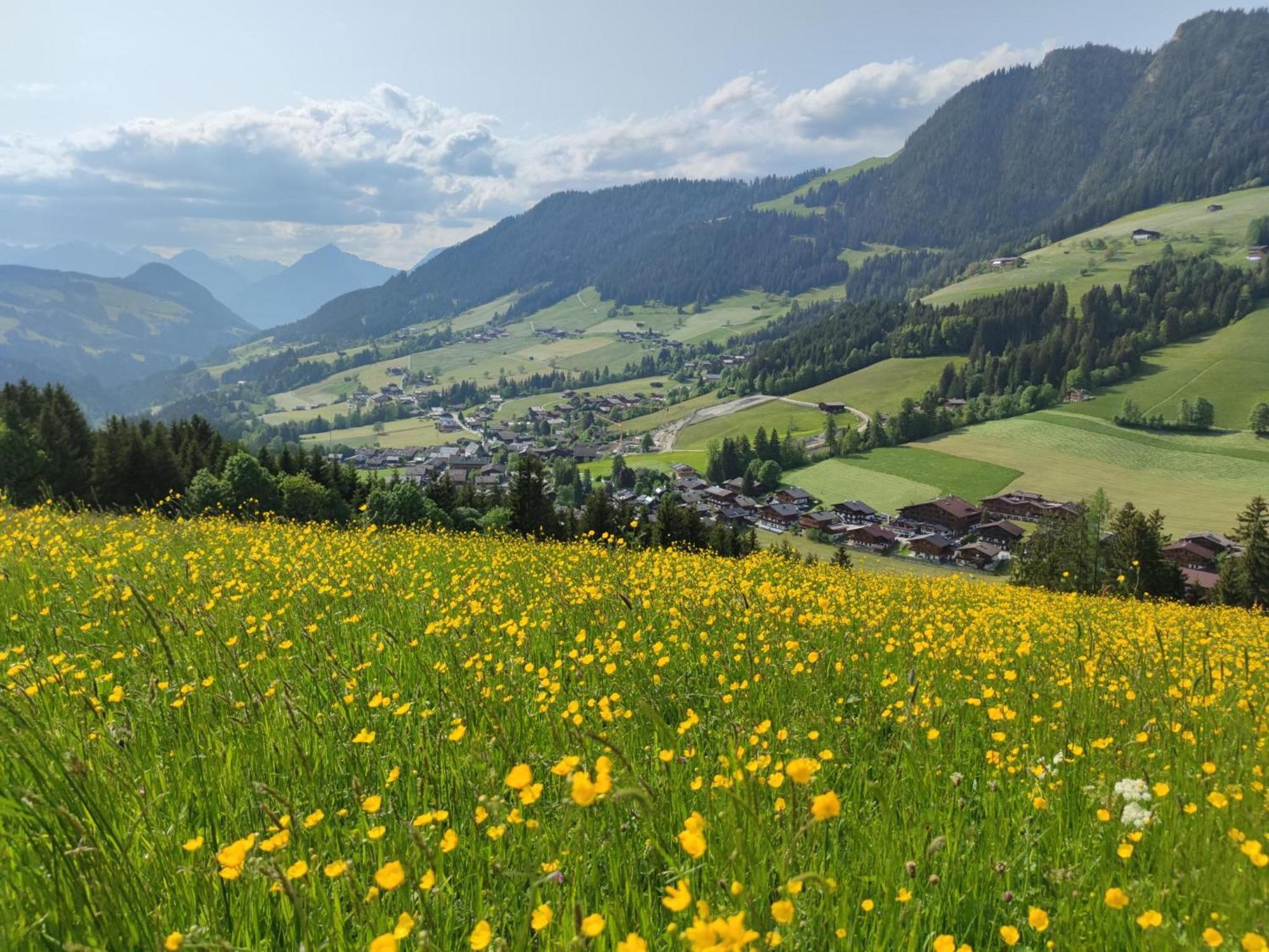 Chalet Mountain View Alpbach Dış mekan fotoğraf